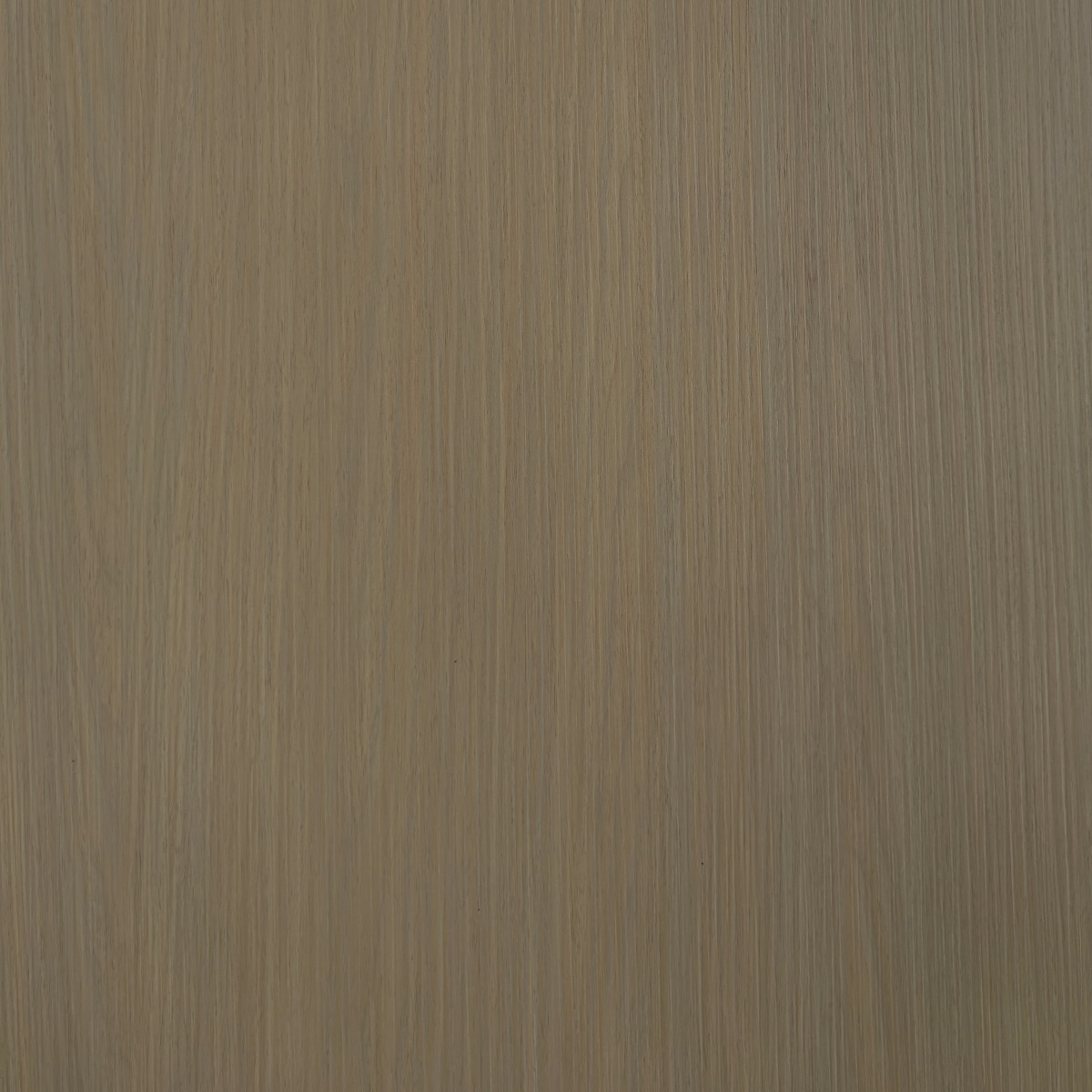 艺术灰橡