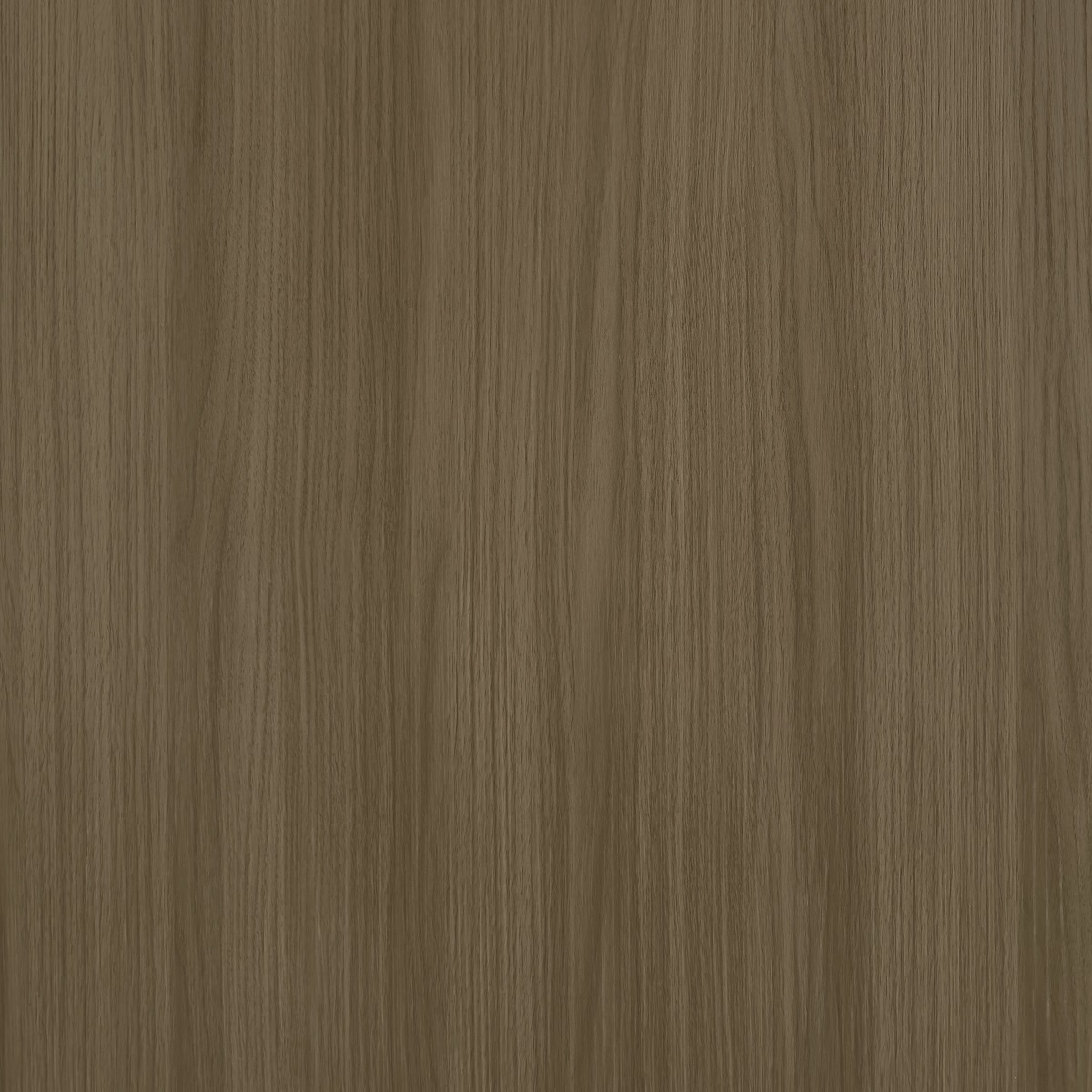 诗意胡桃-2